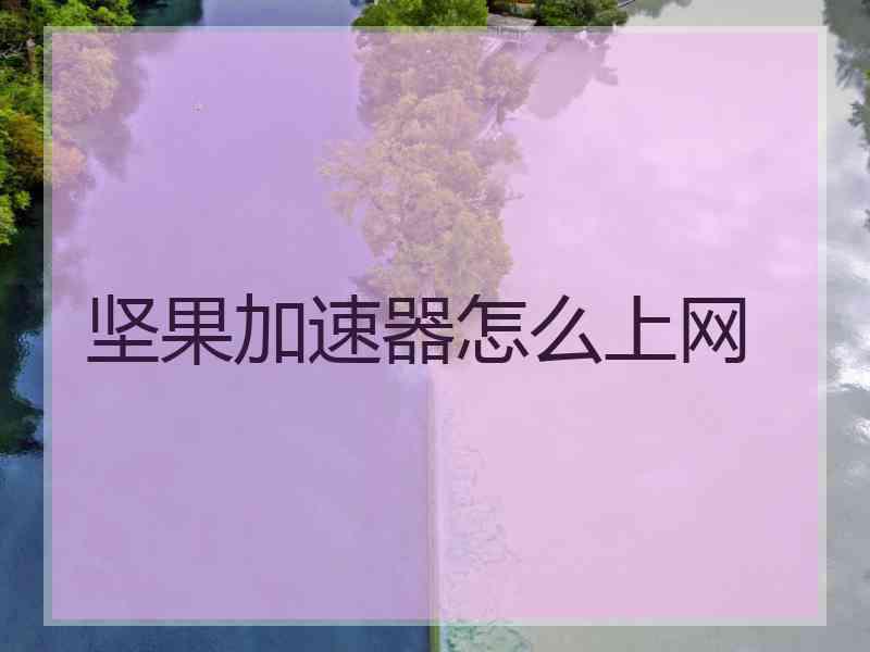 坚果加速器怎么上网