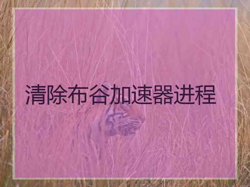 清除布谷加速器进程