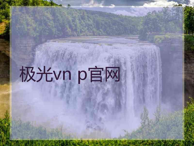 极光vn p官网