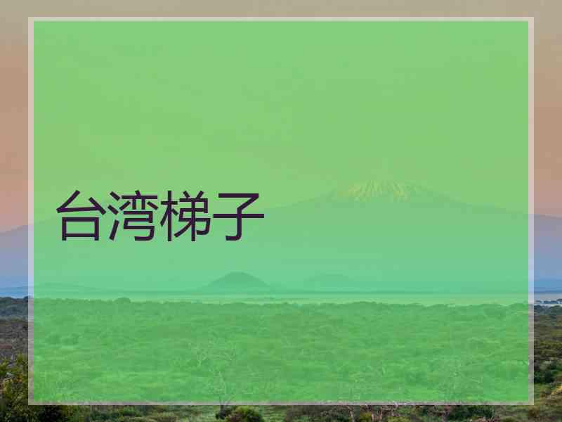 台湾梯子