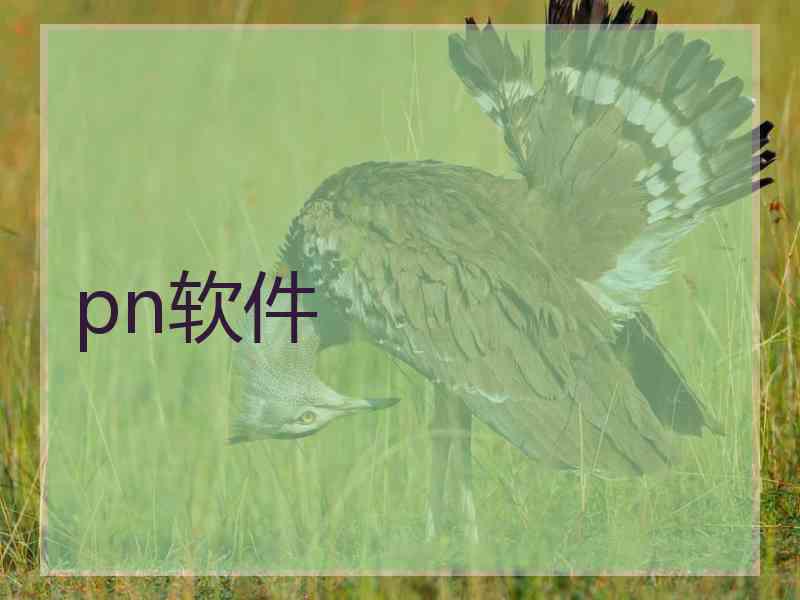 pn软件