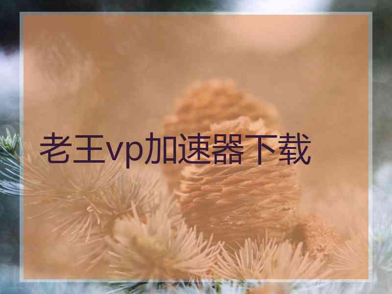 老王vp加速器下载