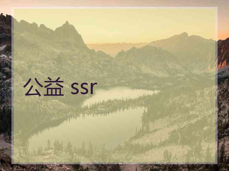 公益 ssr