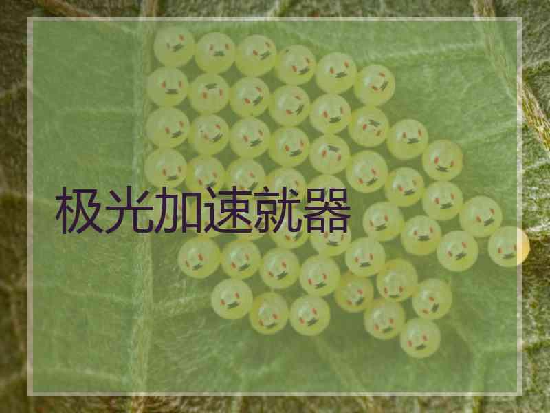 极光加速就器