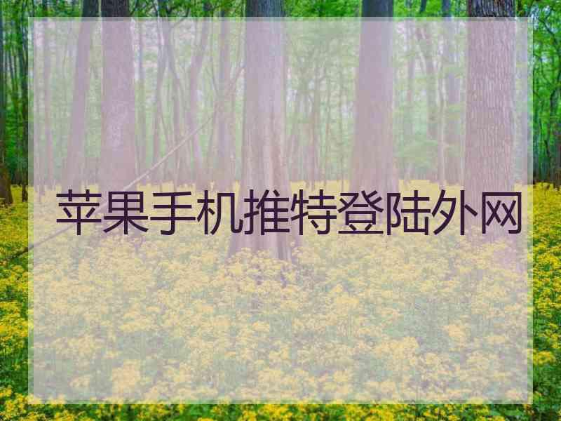 苹果手机推特登陆外网