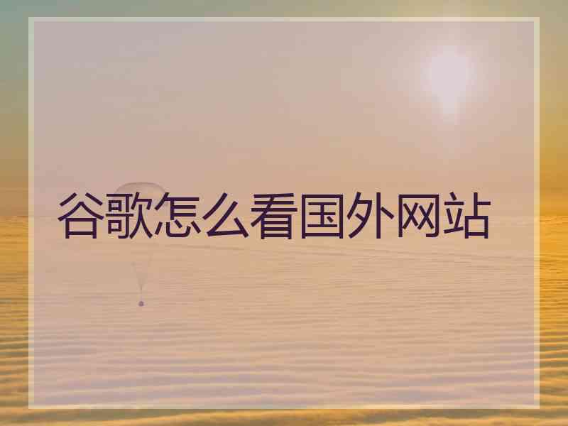 谷歌怎么看国外网站