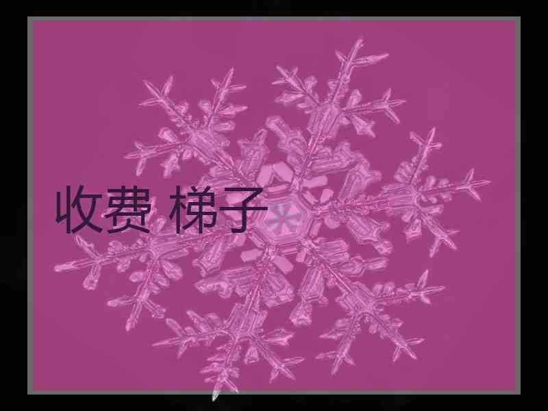 收费 梯子