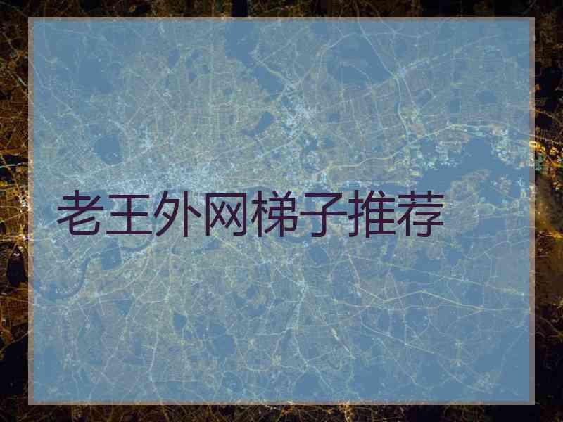 老王外网梯子推荐