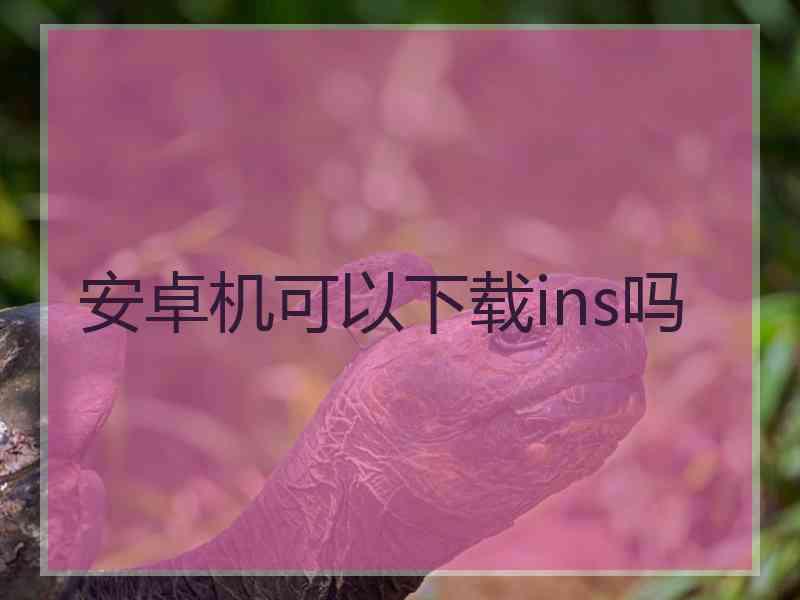 安卓机可以下载ins吗