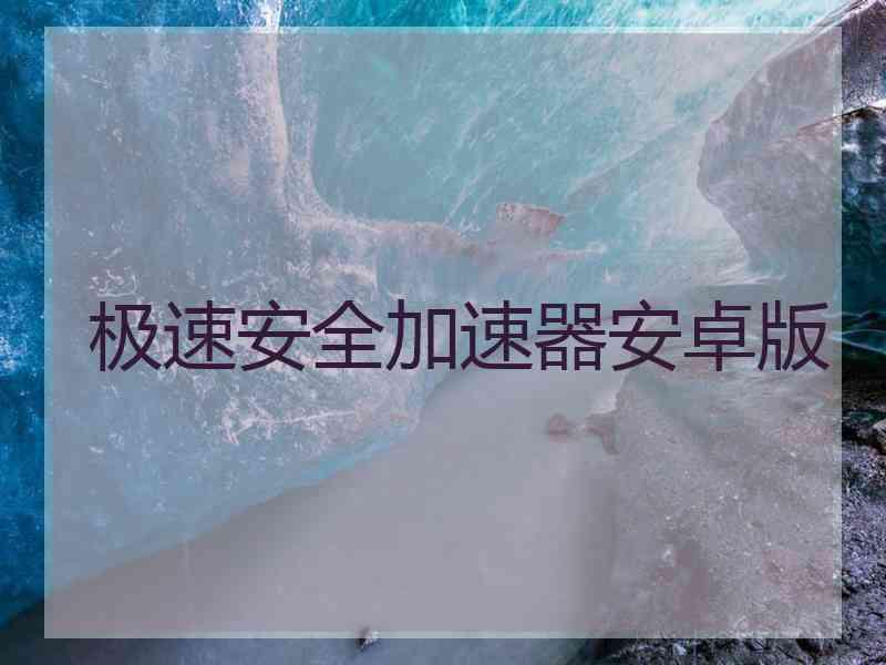 极速安全加速器安卓版