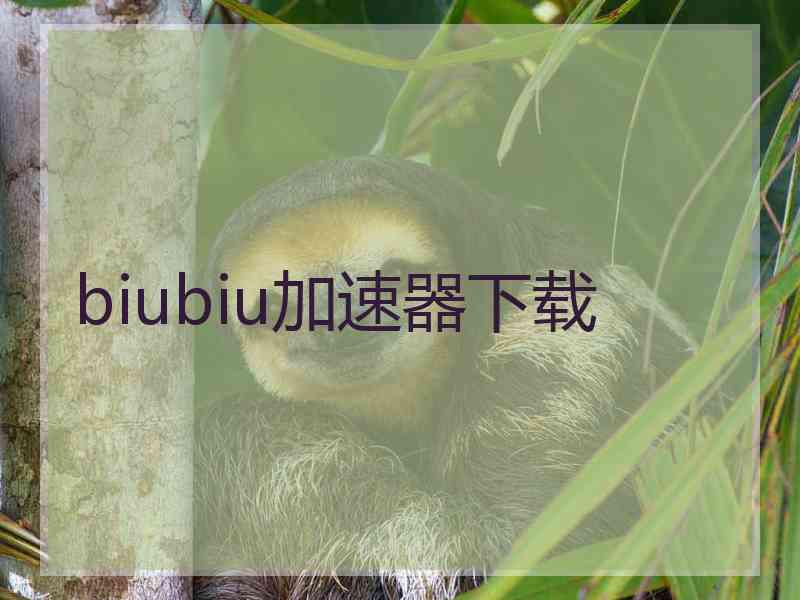 biubiu加速器下载