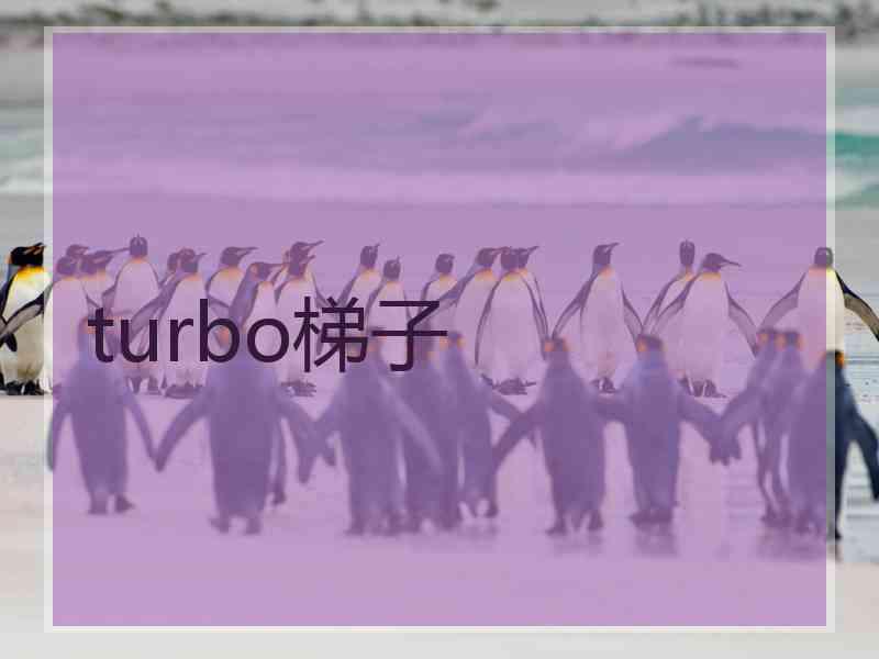 turbo梯子