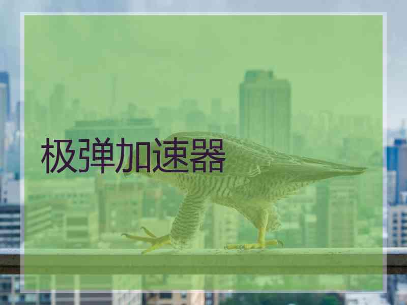 极弹加速器