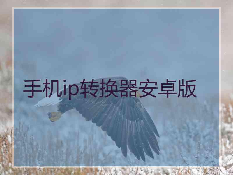 手机ip转换器安卓版