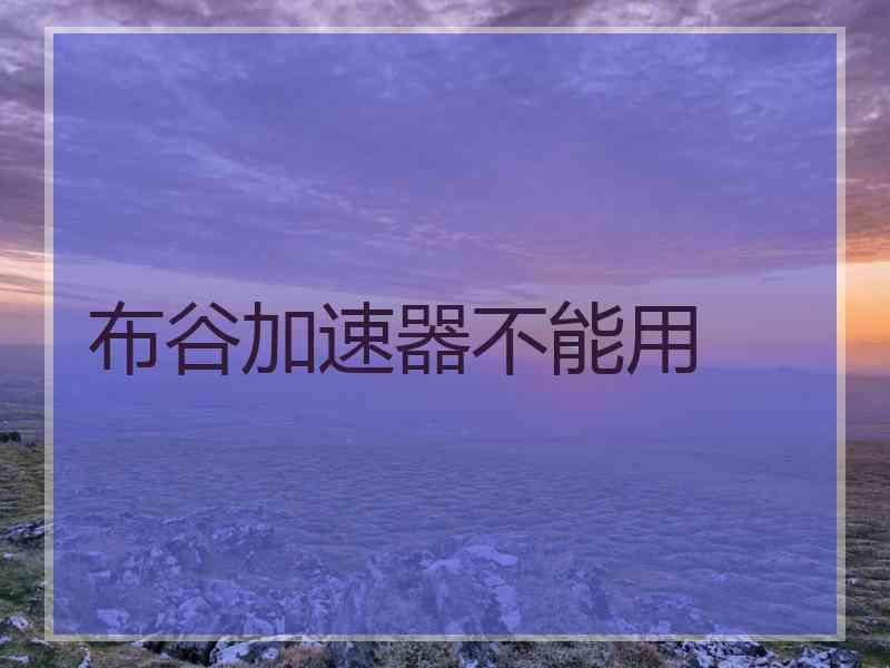 布谷加速器不能用