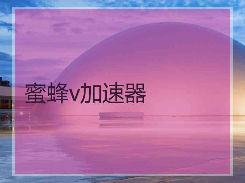 蜜蜂v加速器