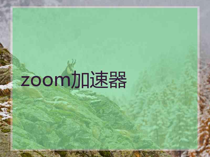 zoom加速器