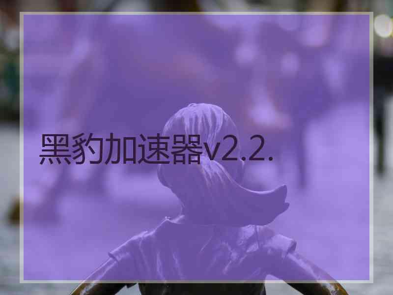 黑豹加速器v2.2.