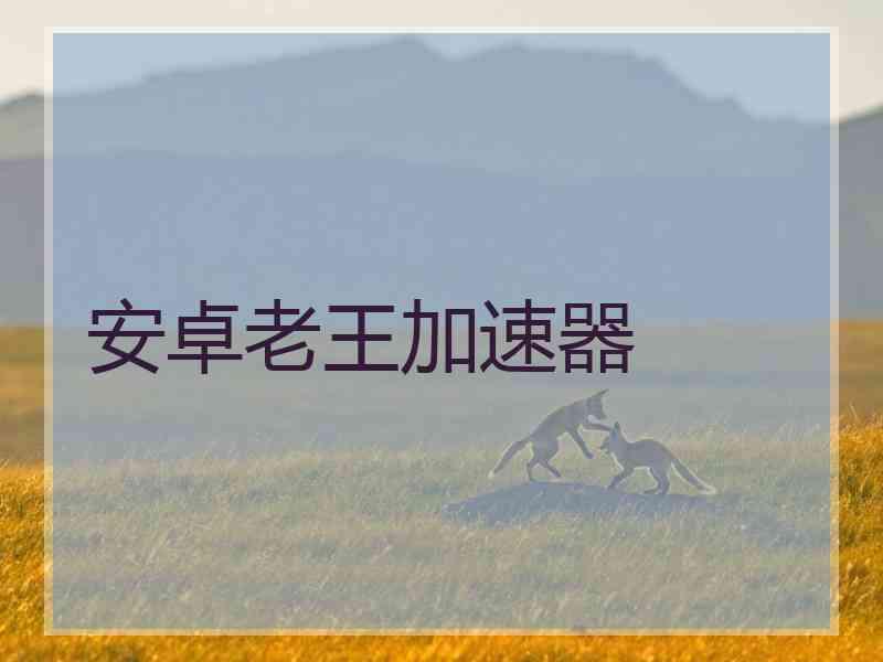 安卓老王加速器