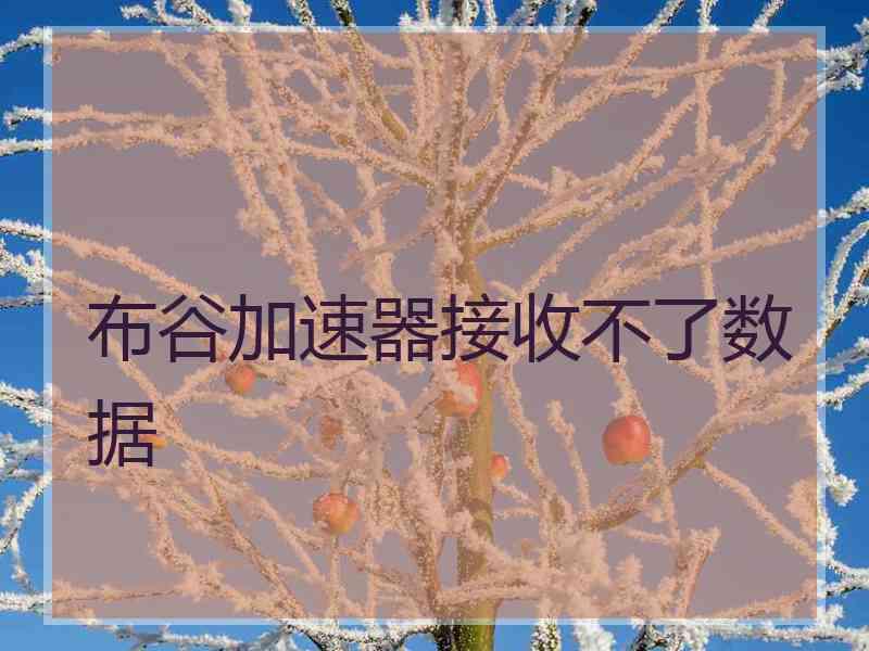 布谷加速器接收不了数据