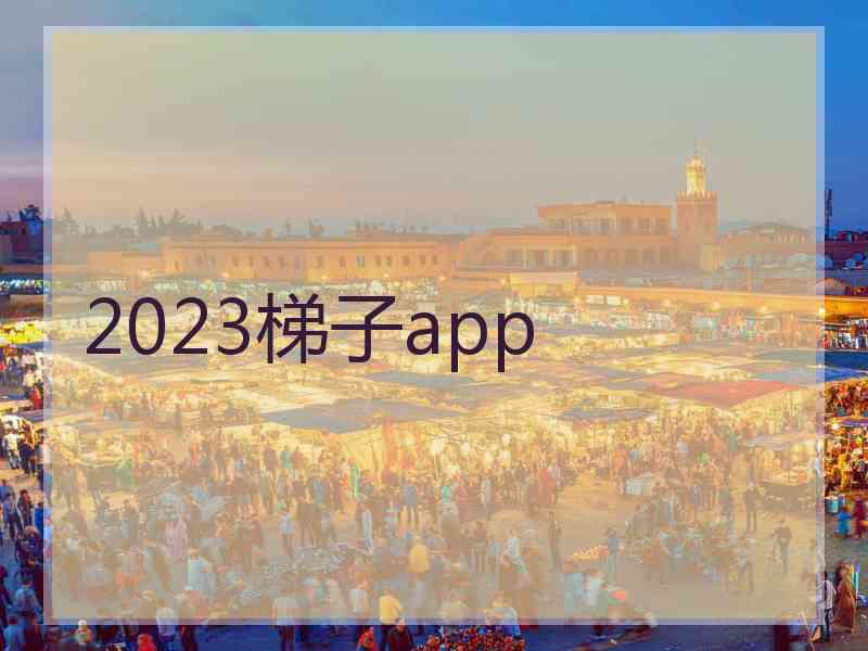 2023梯子app