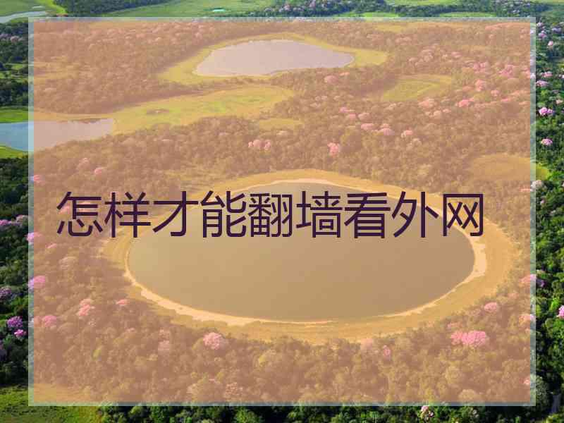 怎样才能翻墙看外网