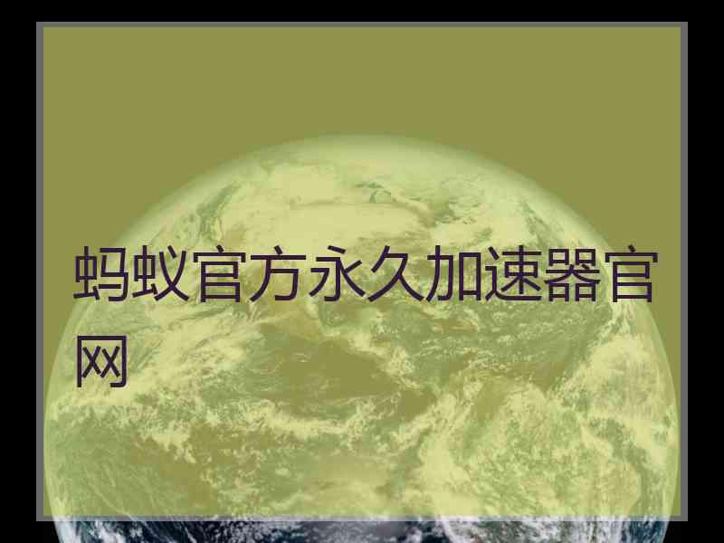 蚂蚁官方永久加速器官网