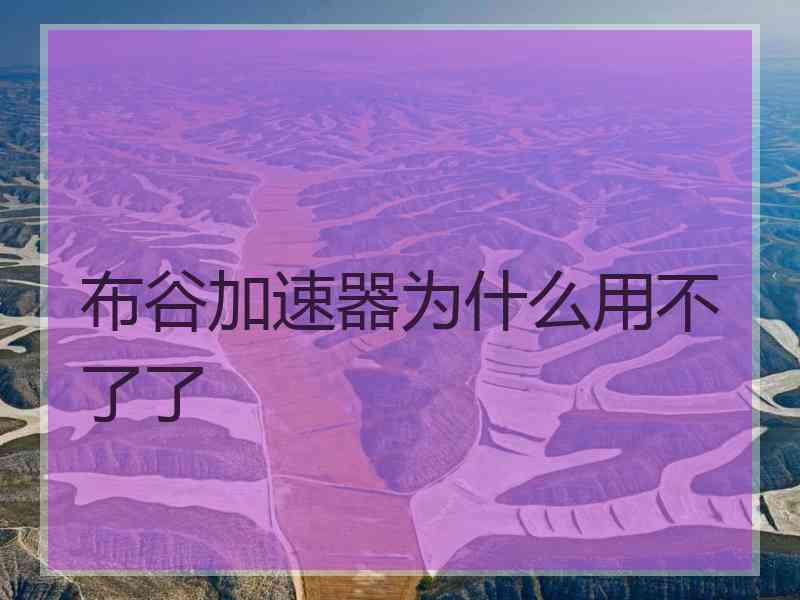 布谷加速器为什么用不了了