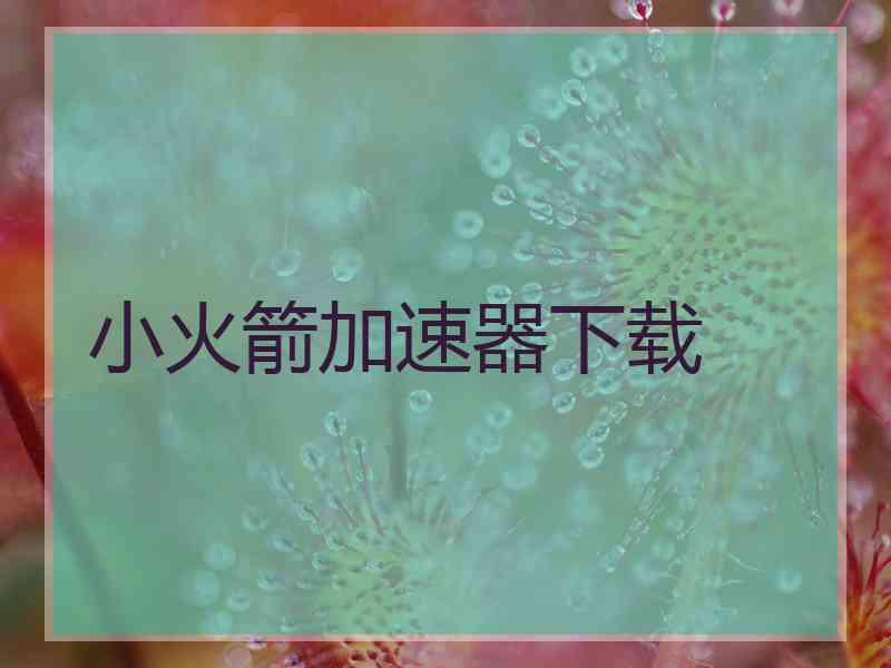小火箭加速器下载