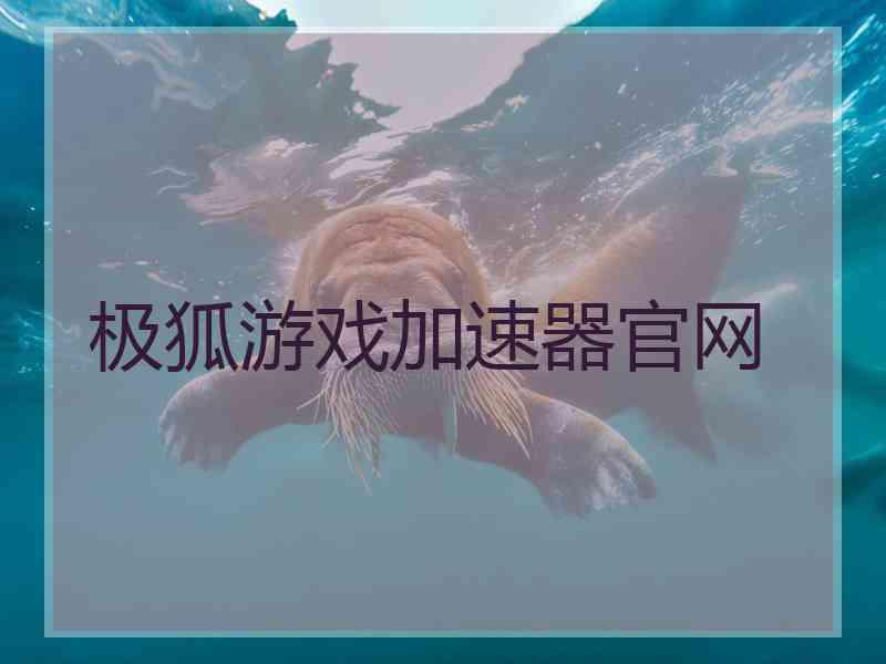 极狐游戏加速器官网