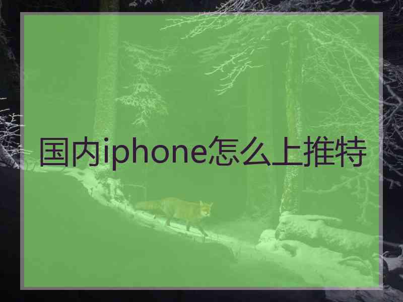 国内iphone怎么上推特