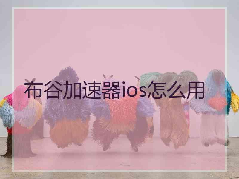 布谷加速器ios怎么用