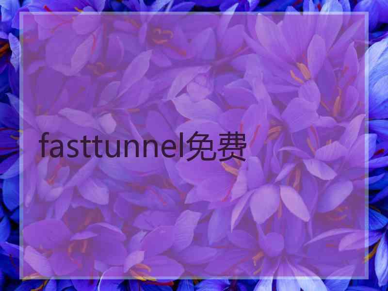 fasttunnel免费