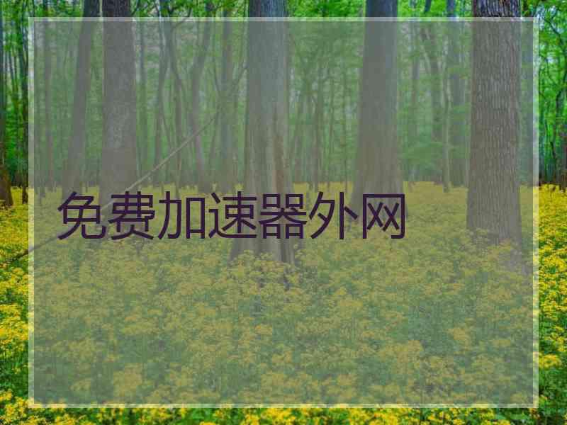 免费加速器外网