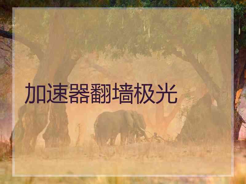 加速器翻墙极光