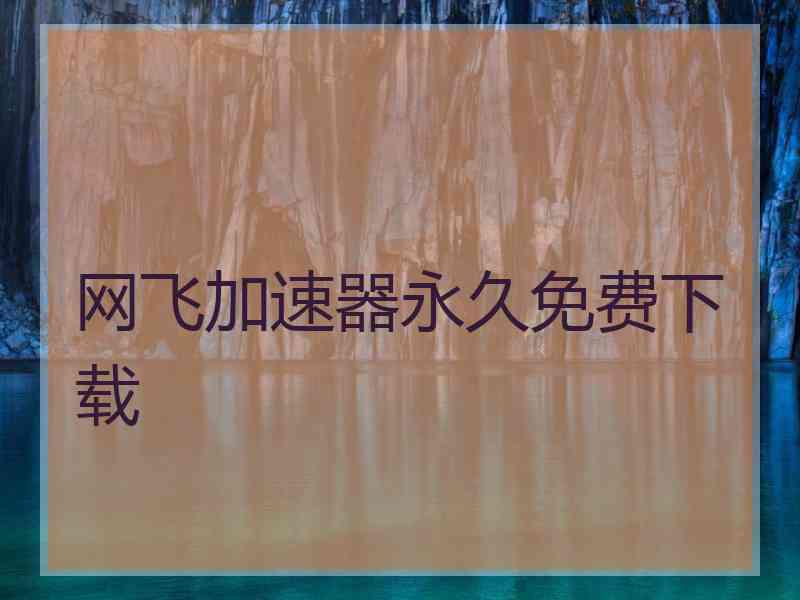 网飞加速器永久免费下载