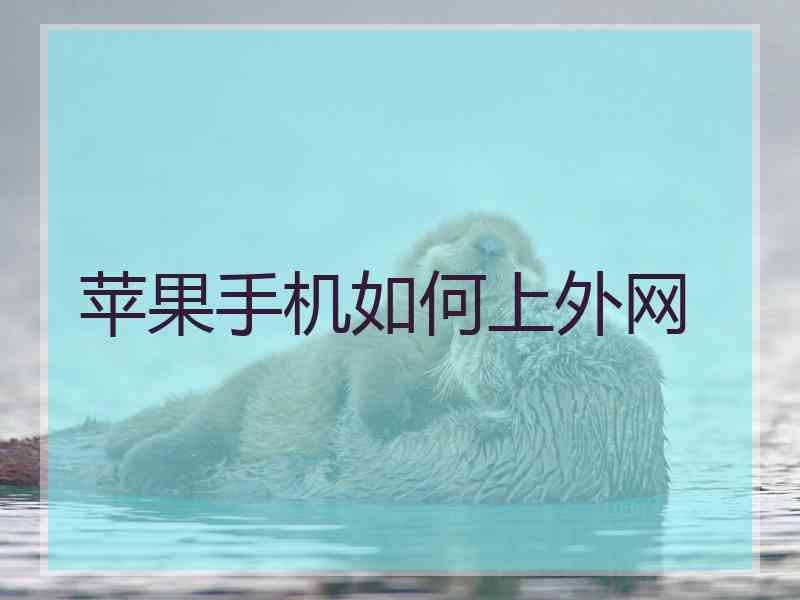 苹果手机如何上外网