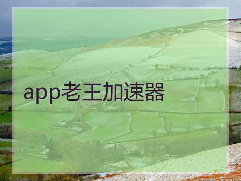 app老王加速器
