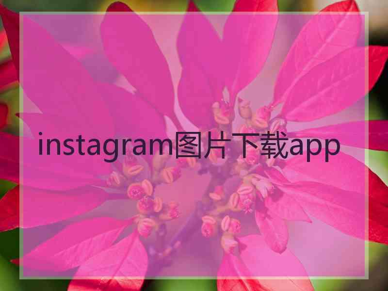 instagram图片下载app