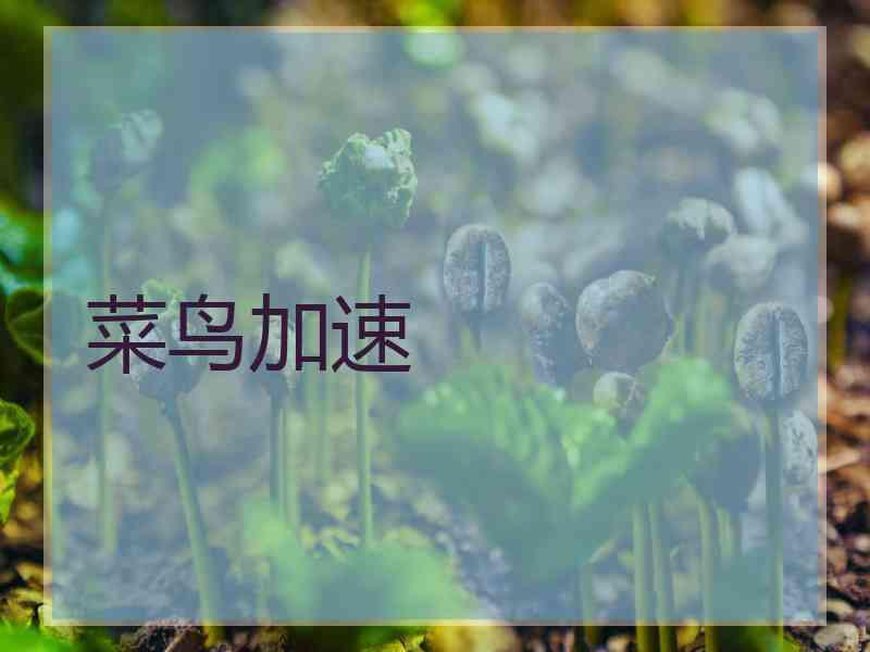 菜鸟加速