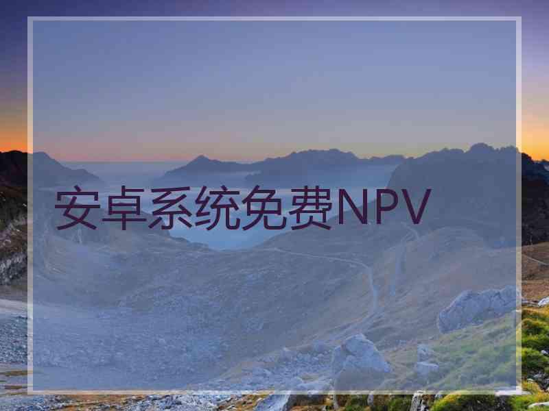 安卓系统免费NPV