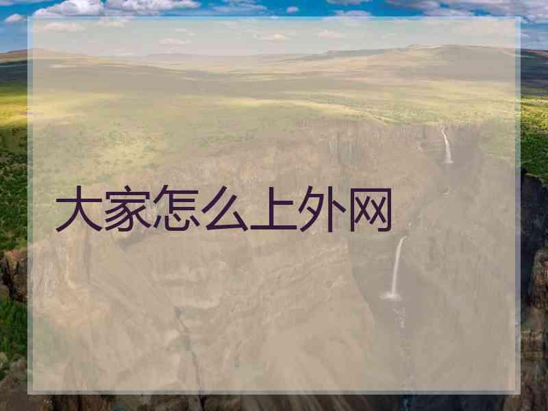 大家怎么上外网