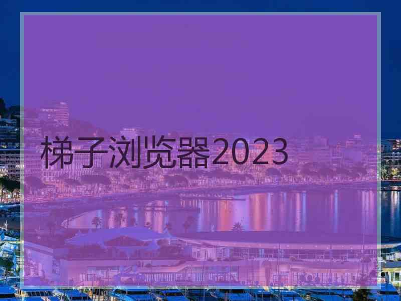 梯子浏览器2023