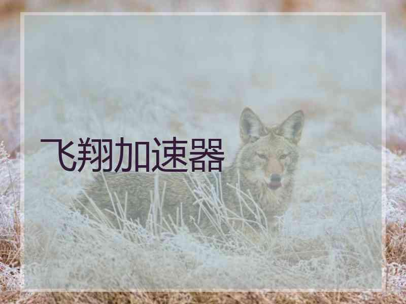 飞翔加速器