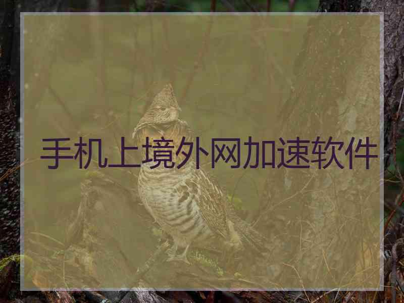 手机上境外网加速软件