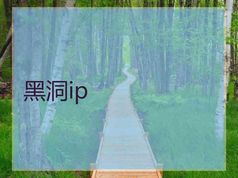 黑洞ip