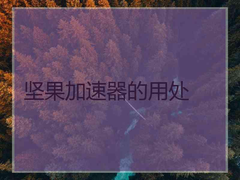 坚果加速器的用处