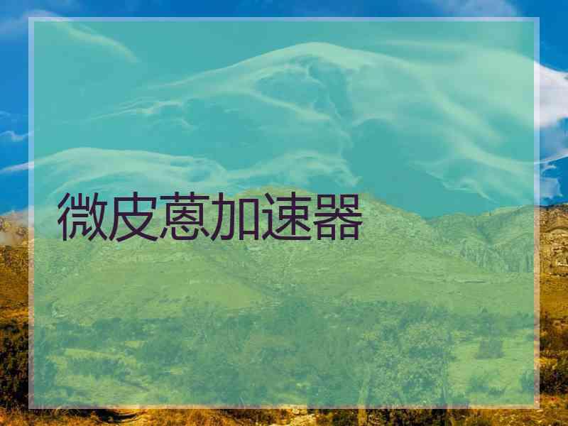 微皮蒽加速器