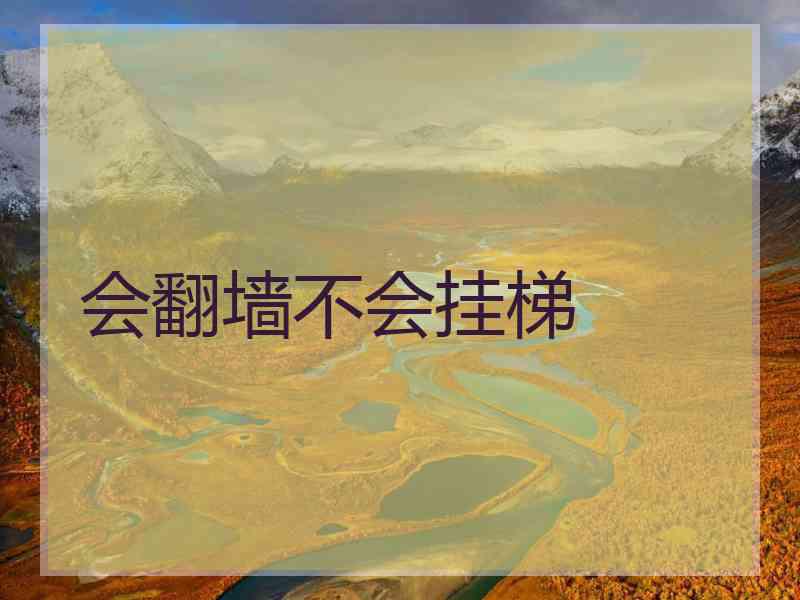 会翻墙不会挂梯
