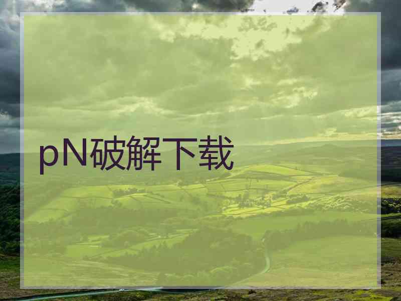 pN破解下载